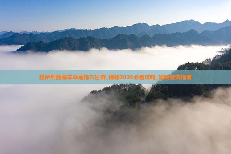 拉萨到西藏羊卓雍措六日游