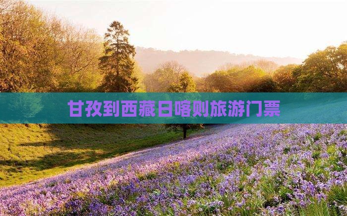 甘孜到西藏日喀则门票