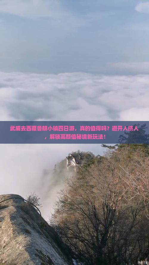 武威去西藏鲁朗小镇四日游