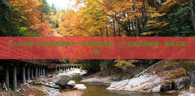 春节去西藏林芝一日