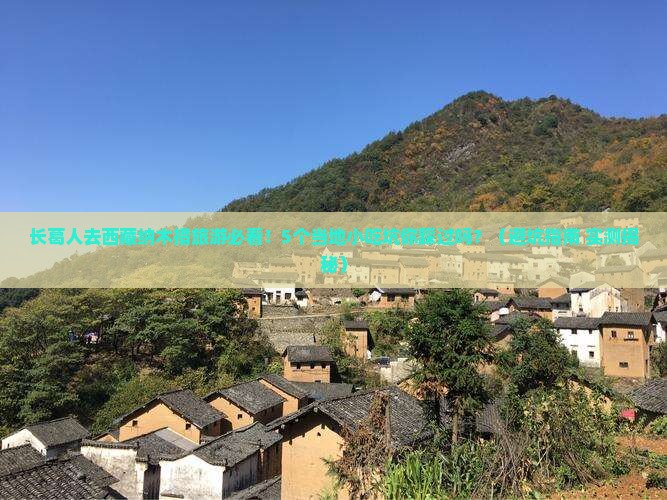 长葛去西藏纳木措旅游小吃