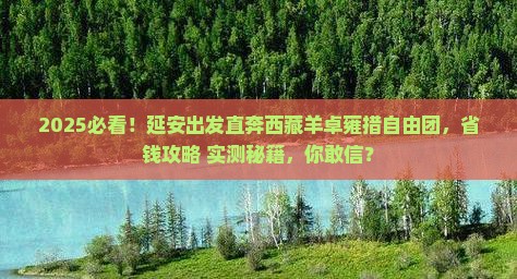 延安去西藏羊卓雍措自由团