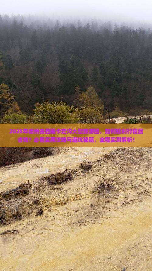 德州去西藏卡定沟大型旅游团