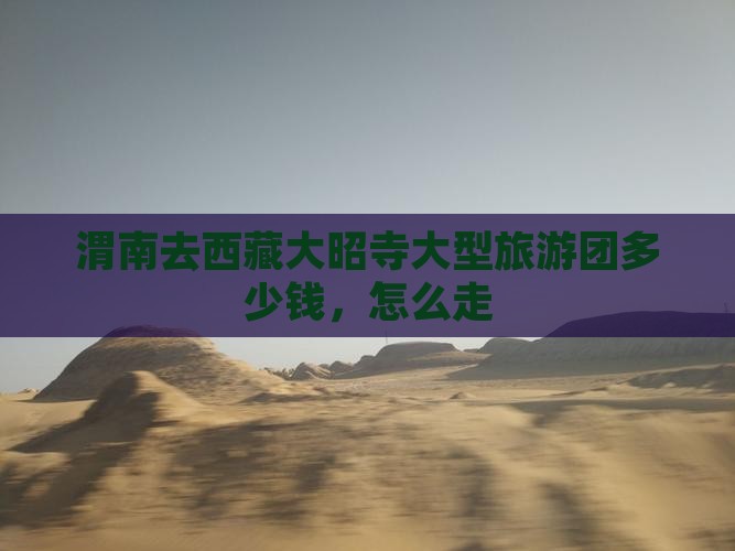 渭南去西藏大昭寺大型旅游团