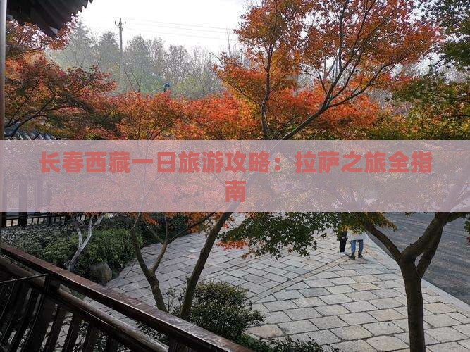 长春去西藏一日