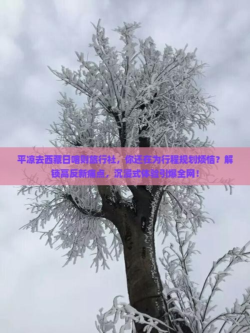 平凉去西藏日喀则旅行社