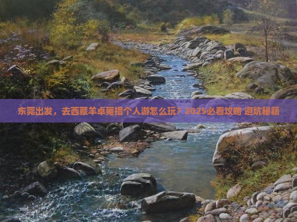东莞到西藏羊卓雍措个人游
