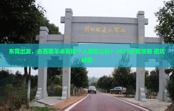 东莞到西藏羊卓雍措个人游