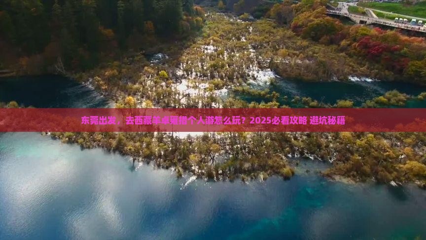 东莞到西藏羊卓雍措个人游