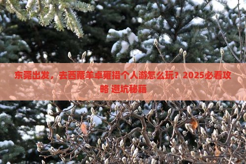 东莞到西藏羊卓雍措个人游