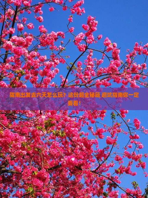 陇南去西藏六日游