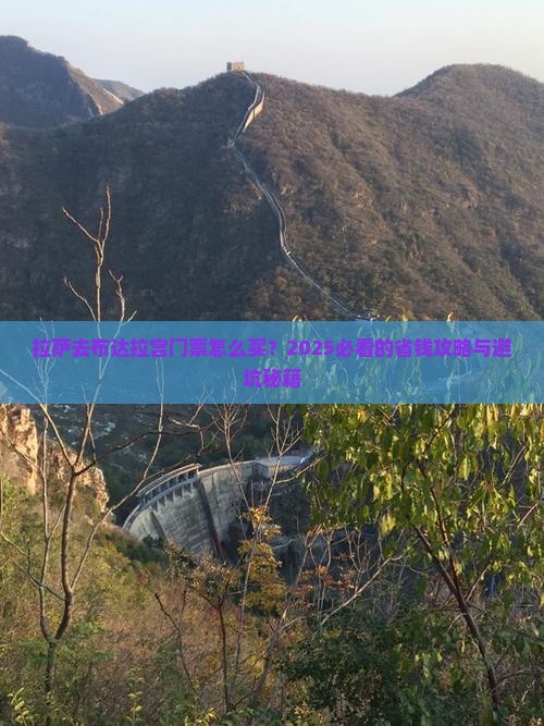 拉萨去西藏布达拉宫门票
