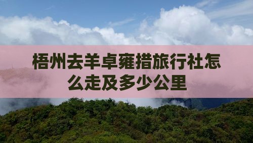 梧州去西藏羊卓雍措旅行社