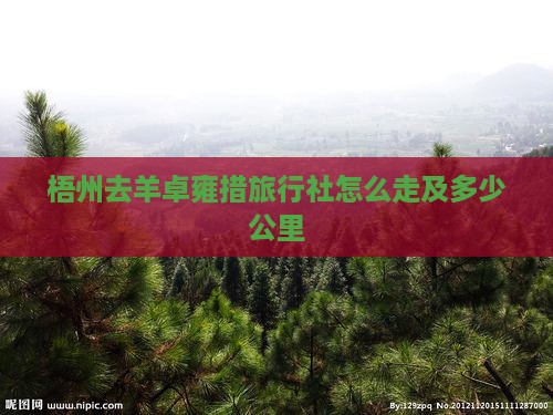 梧州去西藏羊卓雍措旅行社
