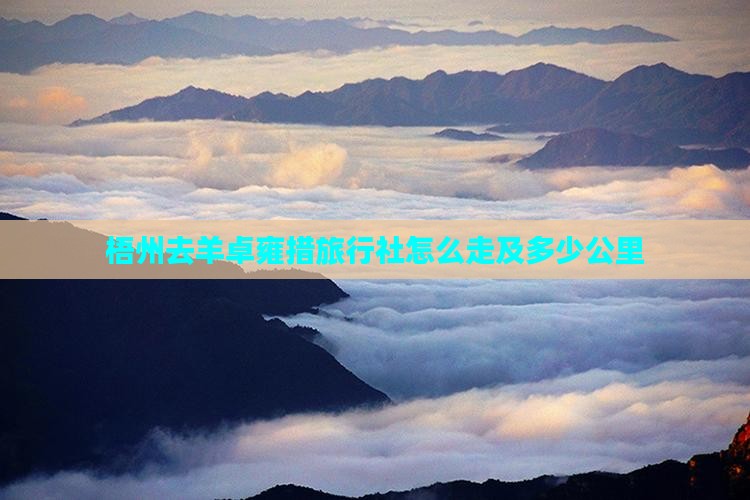 梧州去西藏羊卓雍措旅行社