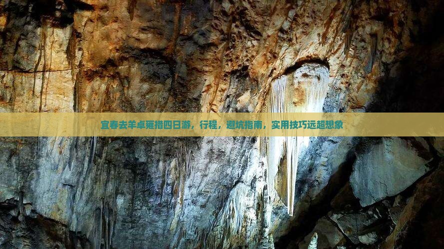 宜春去西藏羊卓雍措四日游