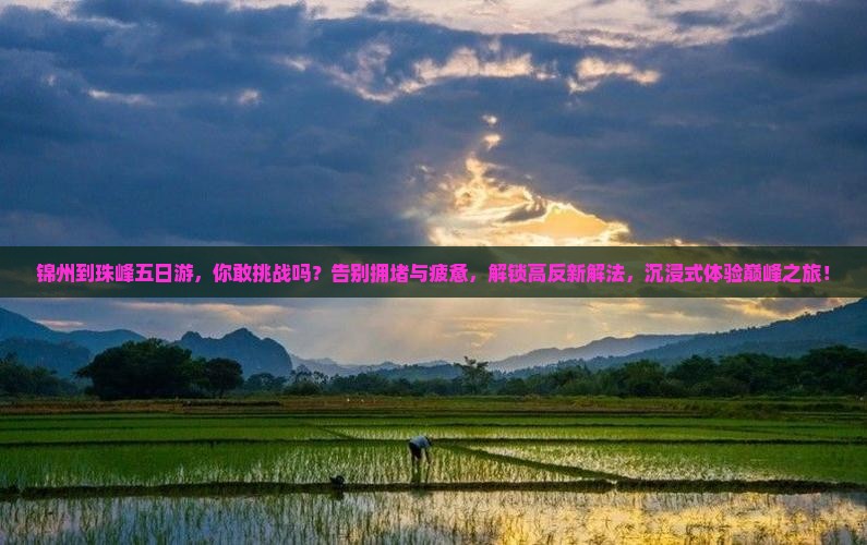 锦州到西藏珠峰大本营五日游