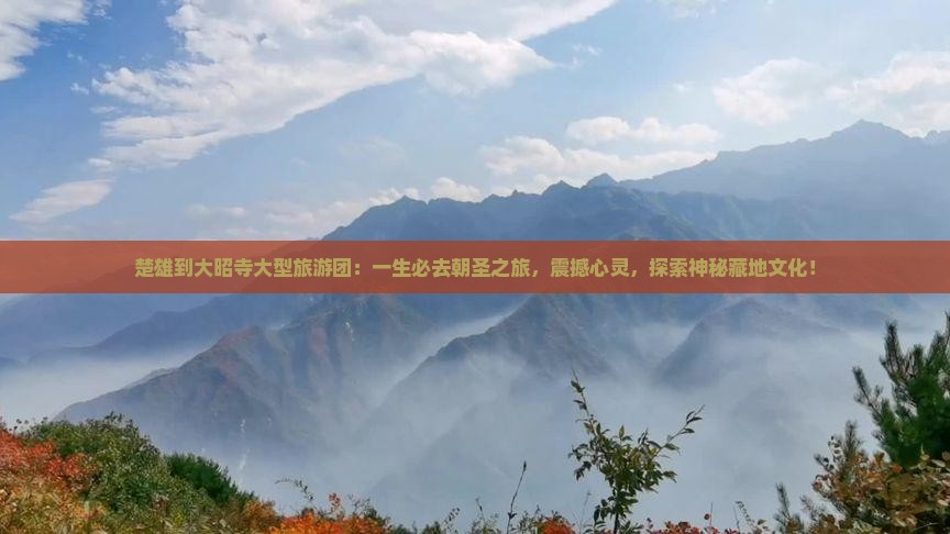 楚雄到西藏大昭寺大型旅游团