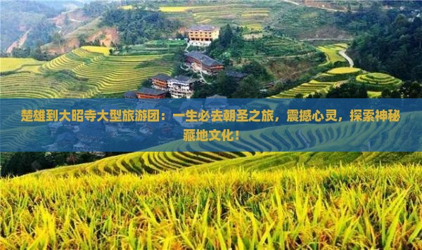 楚雄到西藏大昭寺大型旅游团