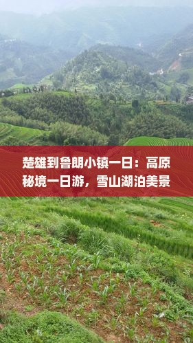 楚雄到西藏鲁朗小镇一日