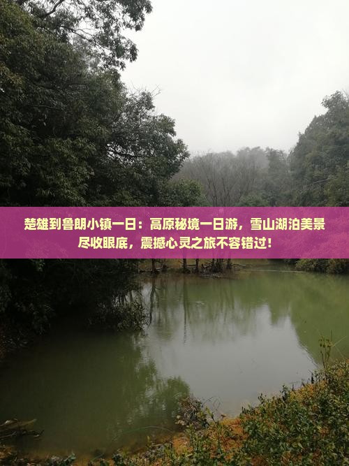 楚雄到西藏鲁朗小镇一日