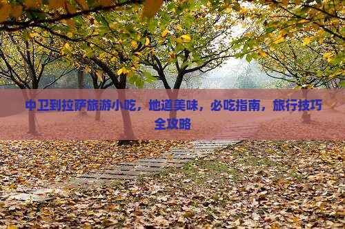 中卫到西藏拉萨旅游小吃