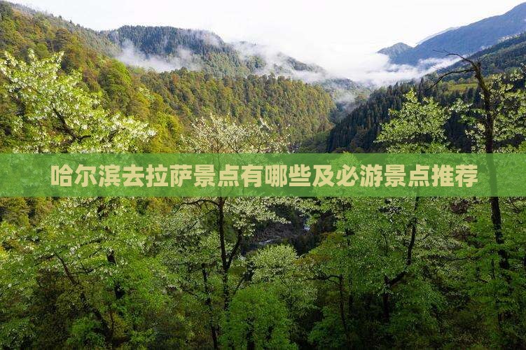 哈尔滨去西藏拉萨景点