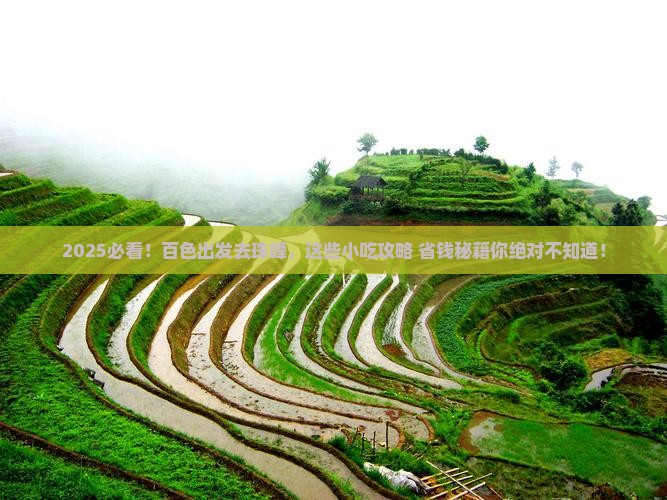 百色去西藏珠峰大本营旅游小吃