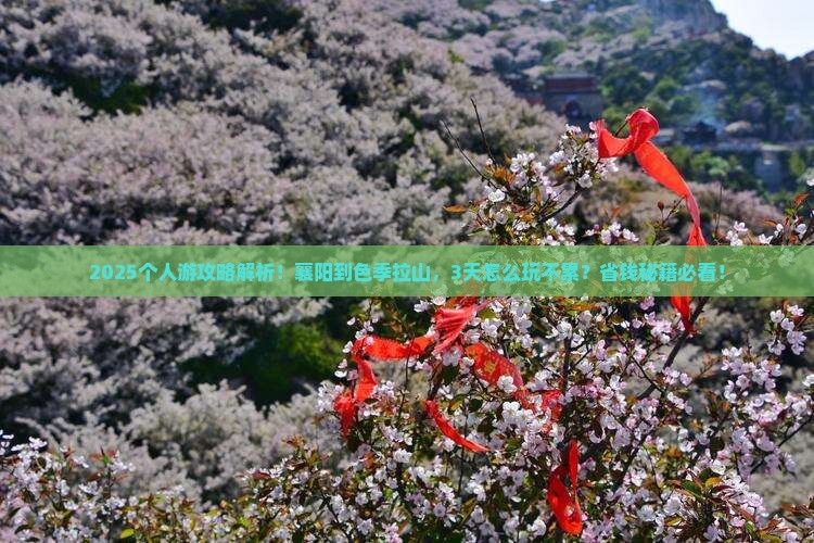 襄阳到西藏色季拉山个人游