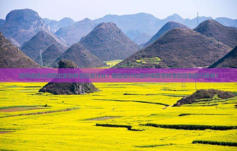 如何选择从南阳出发到林芝的旅行社？哪些旅行社提供南阳至林芝的定制旅行服务？