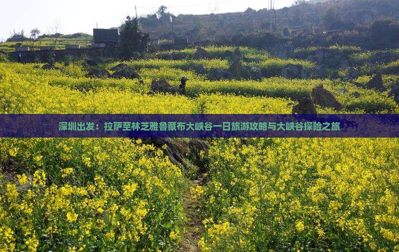 深圳出发：拉萨至林芝雅鲁藏布大峡谷一日旅游攻略与大峡谷探险之旅