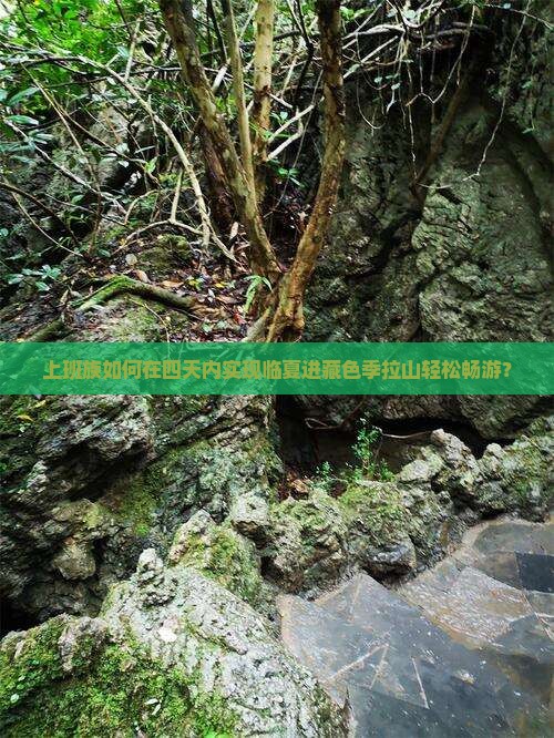 上班族如何在四天内实现临夏进藏色季拉山轻松畅游？