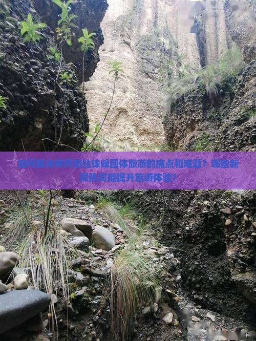 如何解决黄冈前往珠峰团体旅游的痛点和难题？哪些新词热词能提升旅游体验？