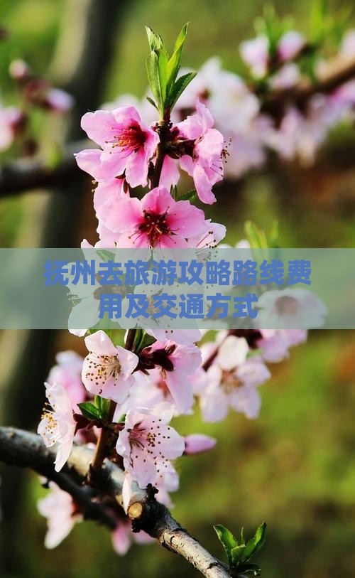 抚州去旅游攻略路线费用及交通方式