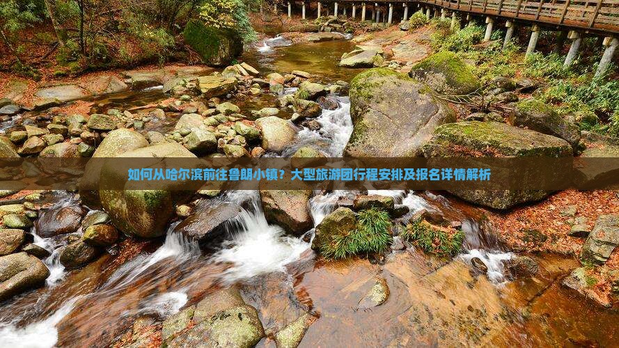 如何从哈尔滨前往鲁朗小镇？大型旅游团行程安排及报名详情解析