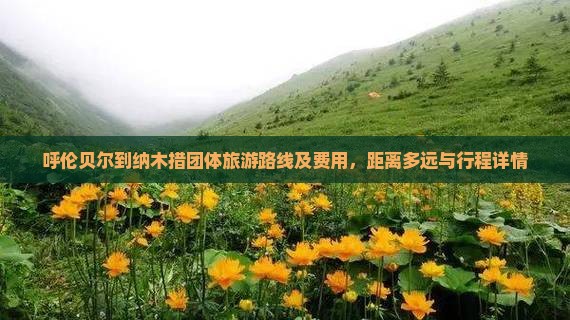 呼伦贝尔到纳木措团体旅游路线及费用，距离多远与行程详情