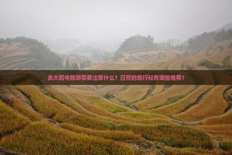 去大昭寺旅游需要注意什么？日照的旅行社有哪些推荐？