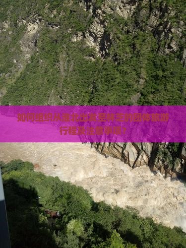 如何组织从淮北出发至林芝的团体旅游行程及注意事项？