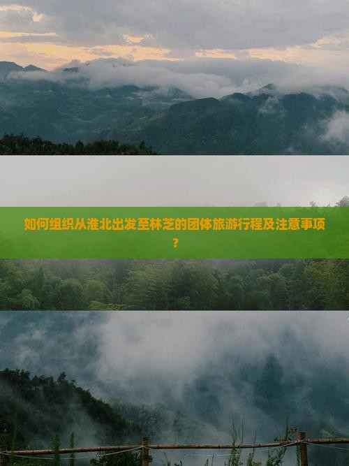 如何组织从淮北出发至林芝的团体旅游行程及注意事项？