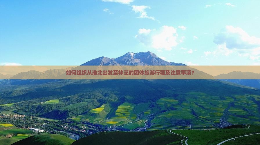 如何组织从淮北出发至林芝的团体旅游行程及注意事项？