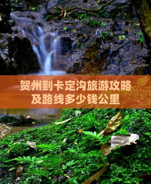 贺州到卡定沟旅游攻略及路线多少钱公里