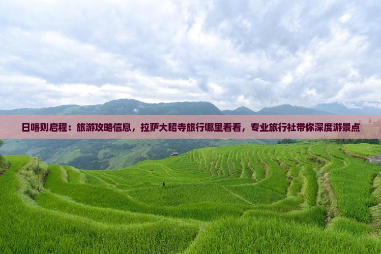 日喀则启程：旅游攻略信息，拉萨大昭寺旅行哪里看看，专业旅行社带你深度游景点