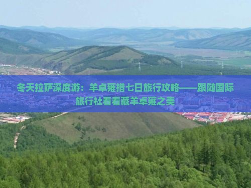 冬天拉萨深度游：羊卓雍措七日旅行攻略——跟随国际旅行社看看藏羊卓雍之美