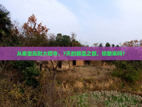 从秦皇岛到大昭寺，7天的朝圣之旅，你敢来吗？