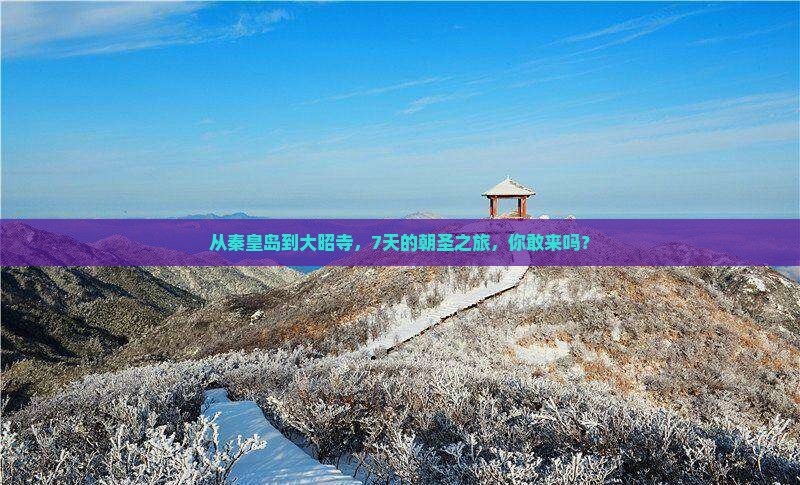 从秦皇岛到大昭寺，7天的朝圣之旅，你敢来吗？