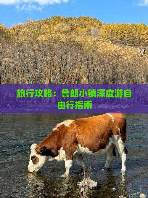 旅行攻略：鲁朗小镇深度游自由行指南