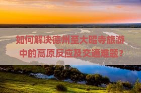 如何解决德州至大昭寺旅游中的高原反应及交通难题？