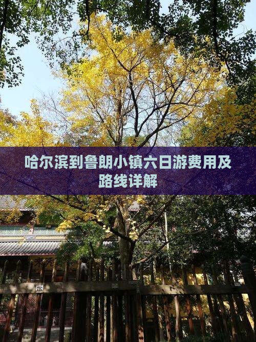 哈尔滨到鲁朗小镇六日游费用及路线详解