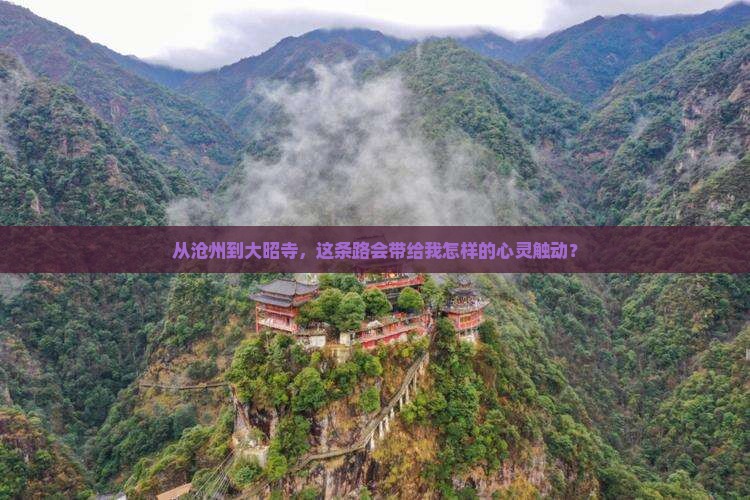 从沧州到大昭寺，这条路会带给我怎样的心灵触动？