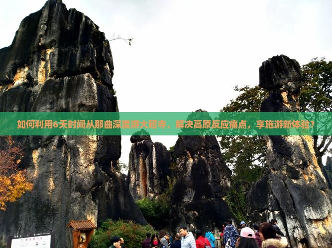 如何利用6天时间从那曲深度游大昭寺，解决高原反应痛点，享施游新体验？